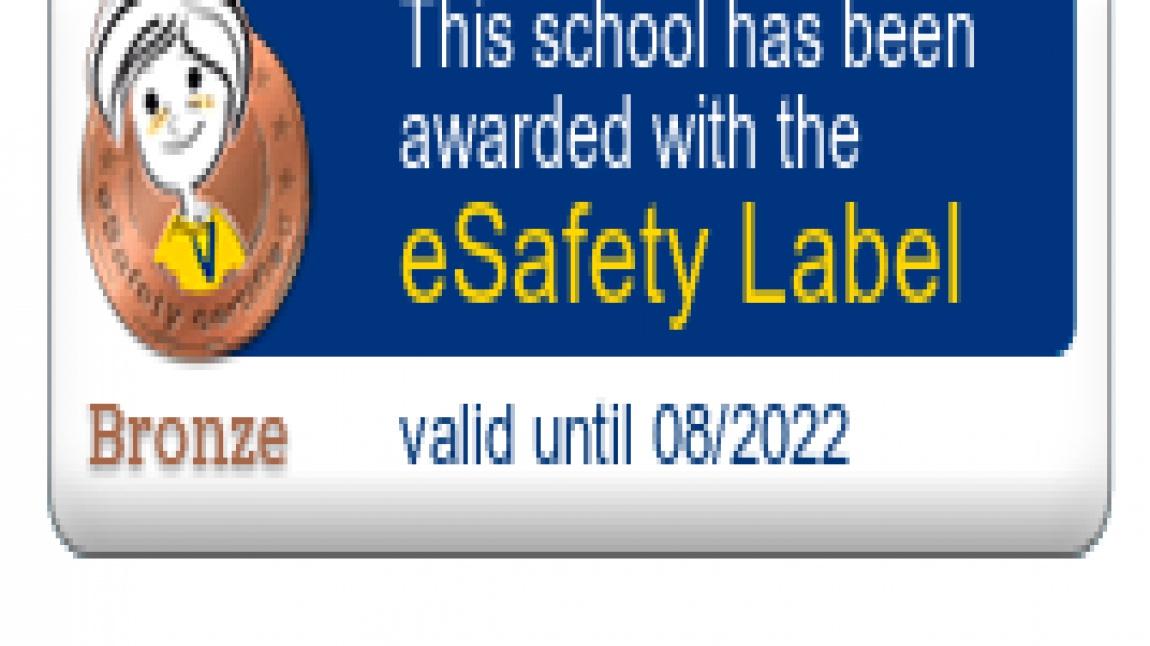 E-SAFETY LABEL BRONZ ETİKETİ 